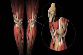Best Knee Ligament Surgeon In Hoshangabad (Narmadapuram)