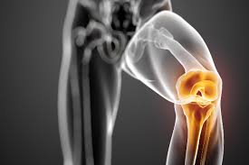 Best Knee Ligament Surgeon In Raisen