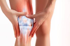 Best Knee Ligament Surgeon In Seoni