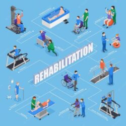 Rehabilitation insight