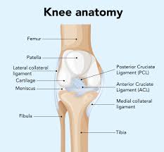 Robotic Orthopedic Surgery in Raigarh